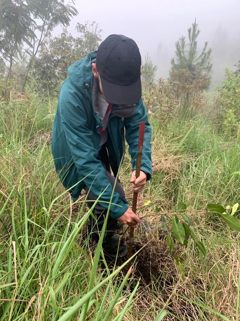 Penanaman Pohon di Area Penanaman oleh Tim PT KMB