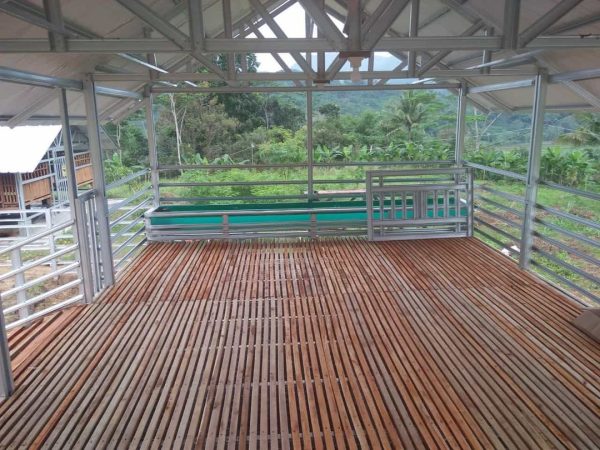 httpswww.instagram.com-78farmyogya-3 Kandang kambing